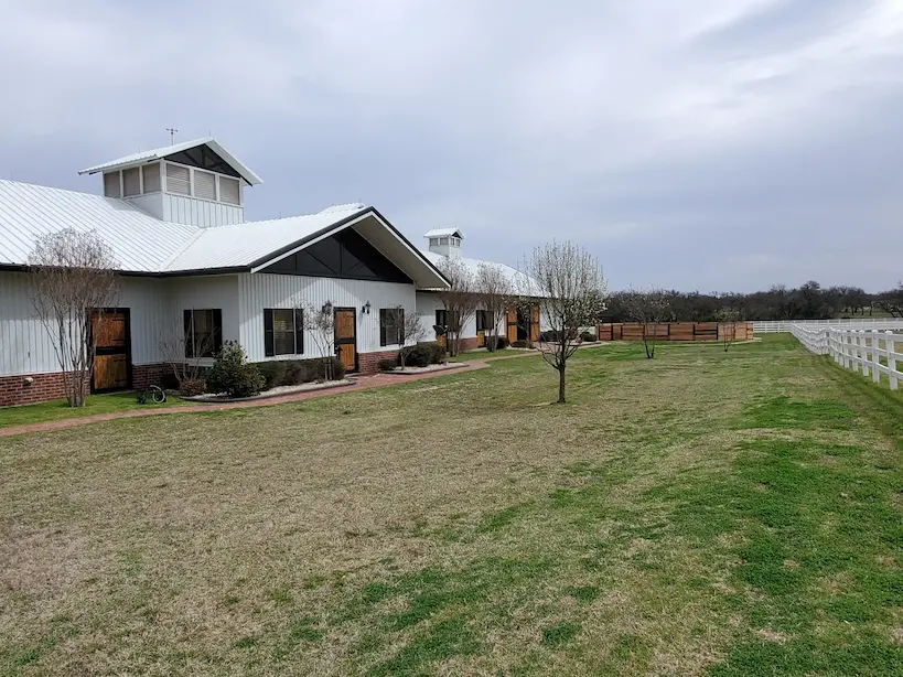 Horses Ranch