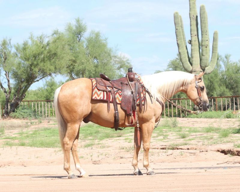 Amarillo