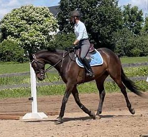 Barbaro