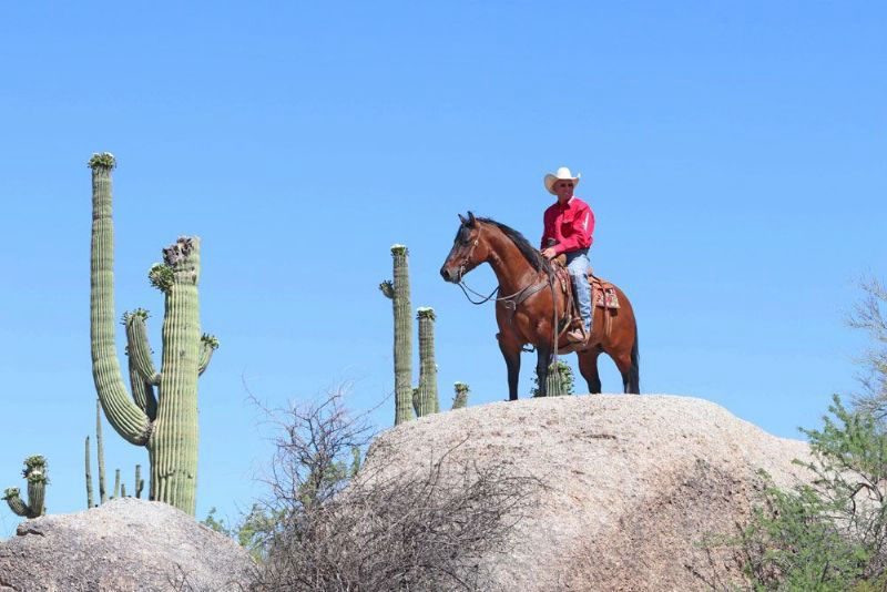Red Bloom red dun Quarter Horse gelding
