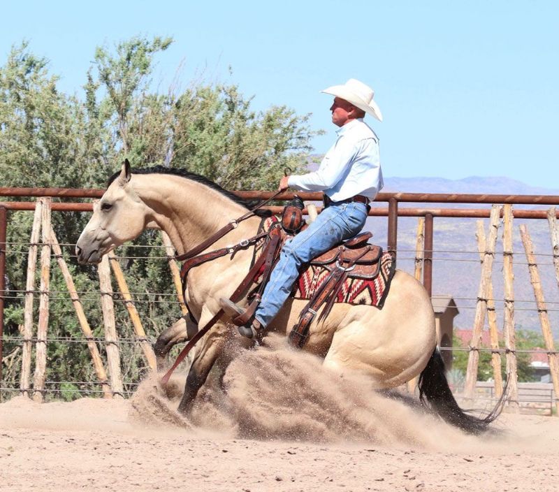 Tex